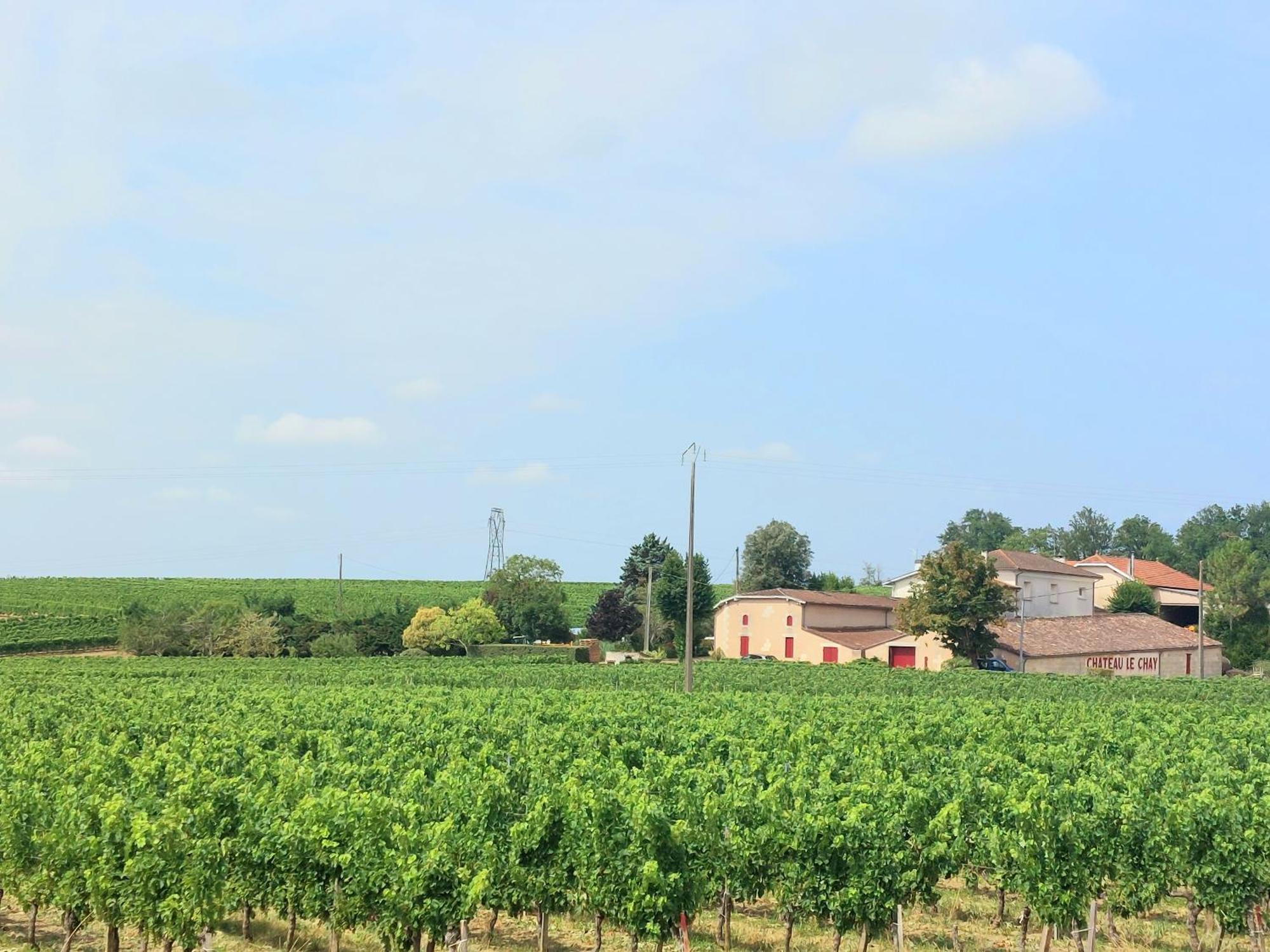 Appartement Duplex Cocoon - 10 Min De Blaye - 20 Min Cnpe - Wifi - Tv Hd à Saint-Seurin-de-Cursac Extérieur photo